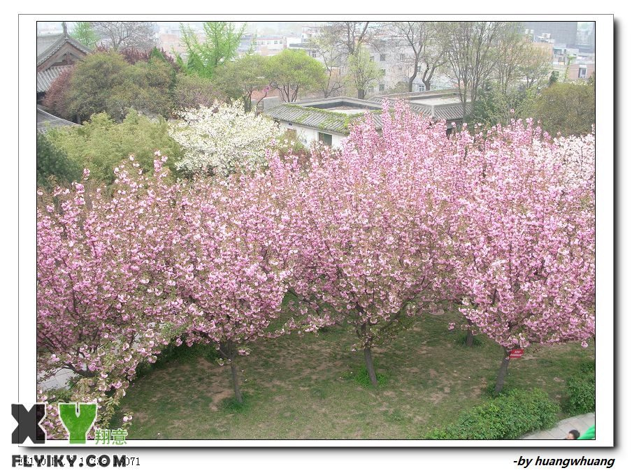 DSCN5525.jpg