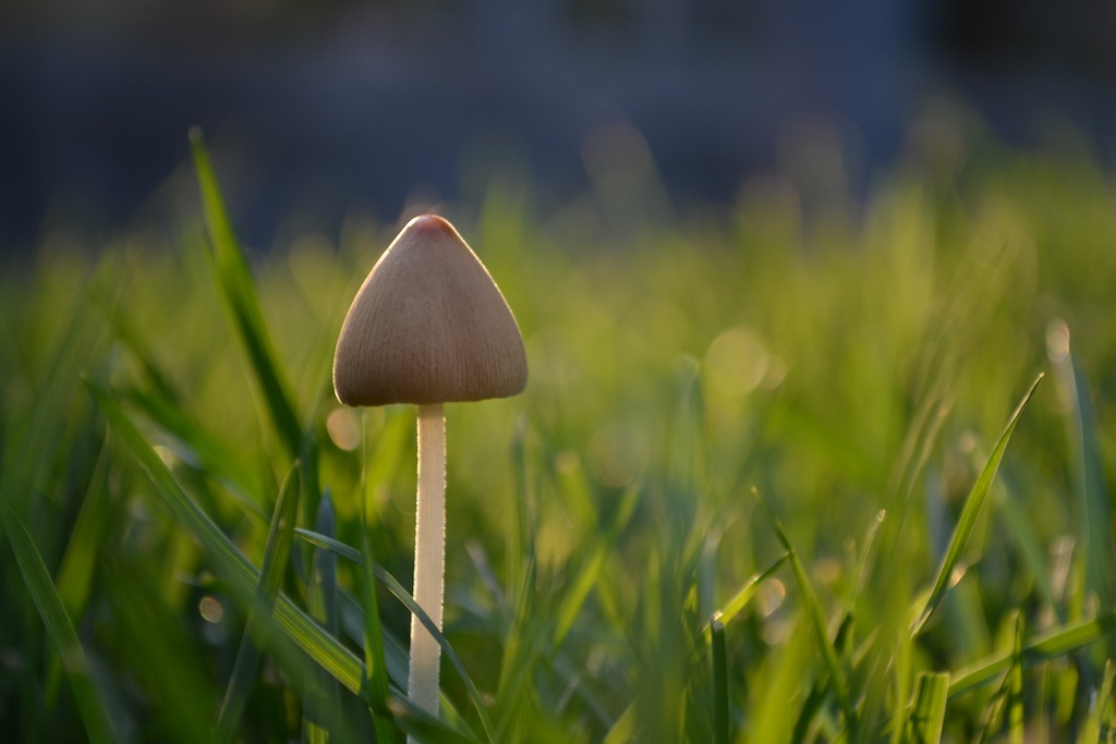 “DSC_0229”的副本.JPG