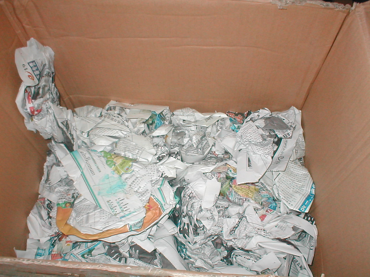 P1010009.JPG