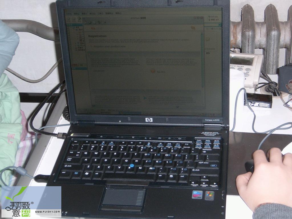 SUC30027.jpg