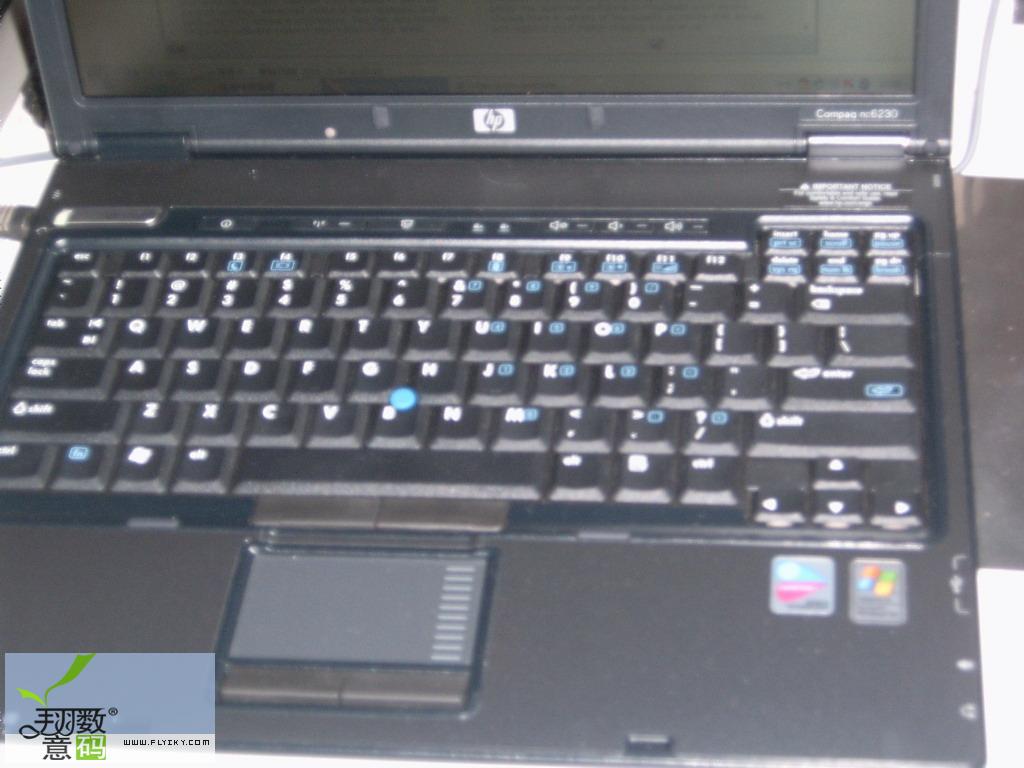 SUC30028.jpg
