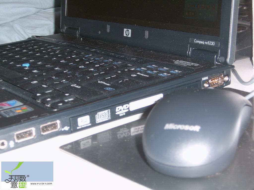 SUC30033.jpg