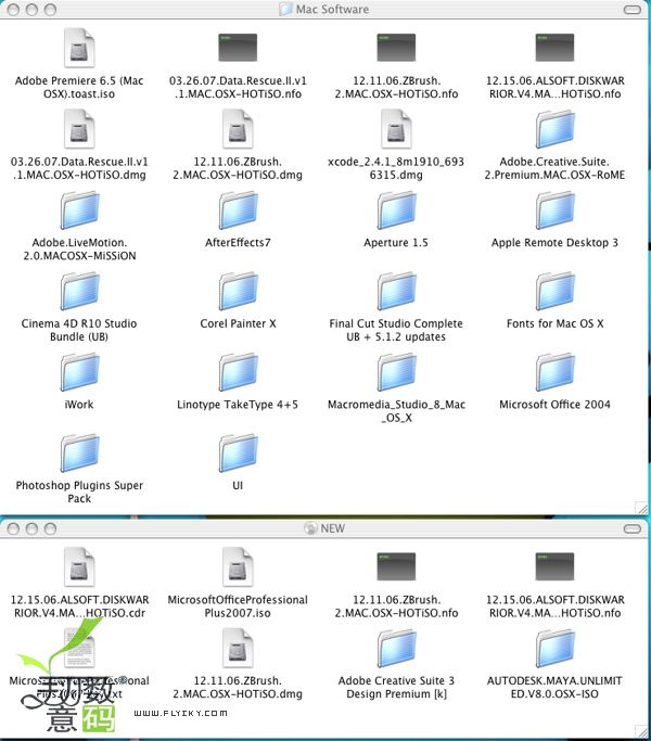 software2.jpg