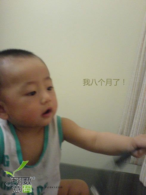 DSC01214.jpg