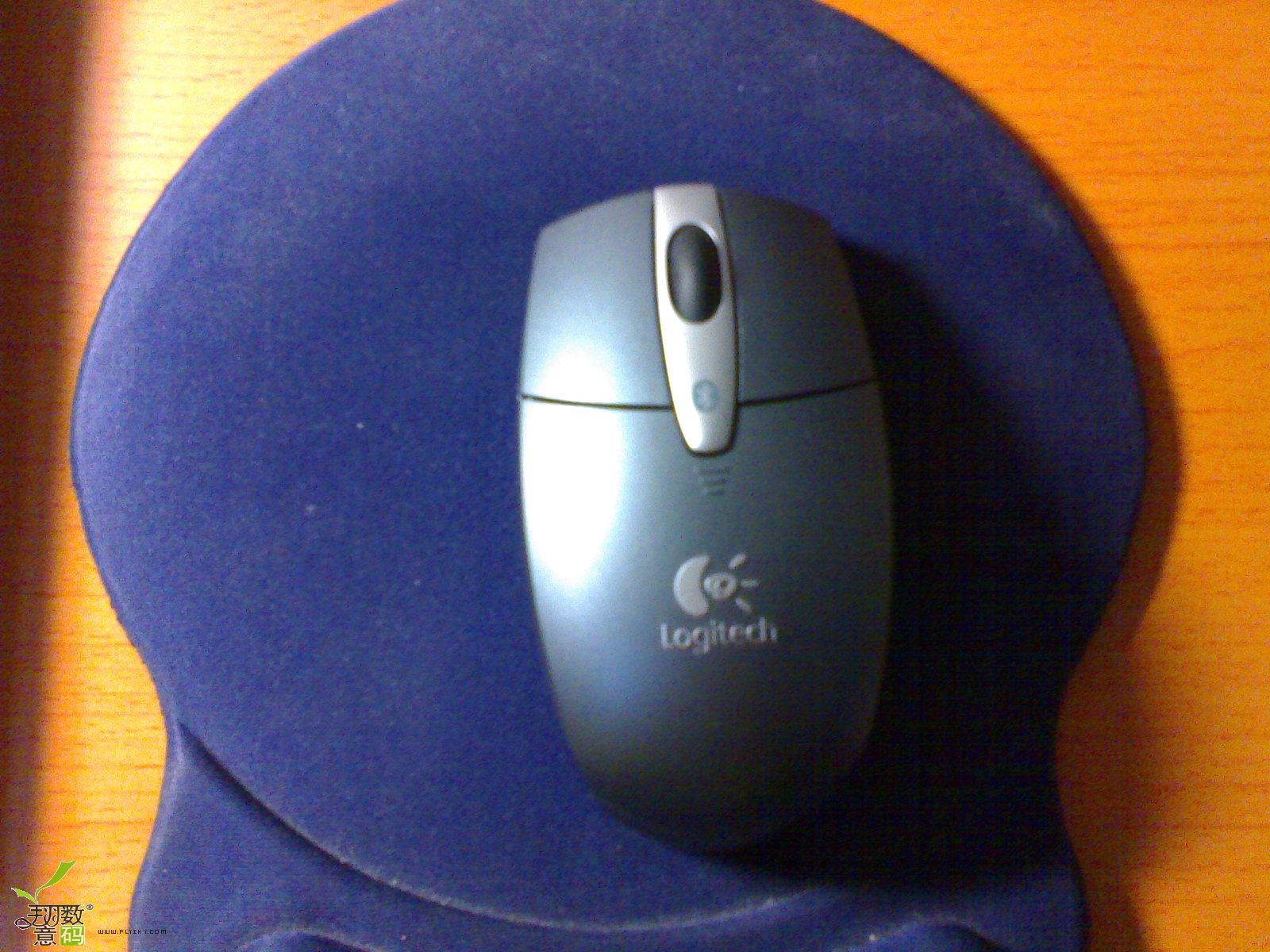 20070629139.jpg