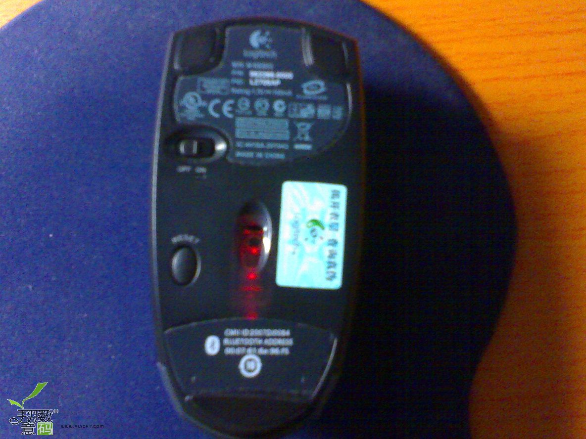 20070629141.jpg