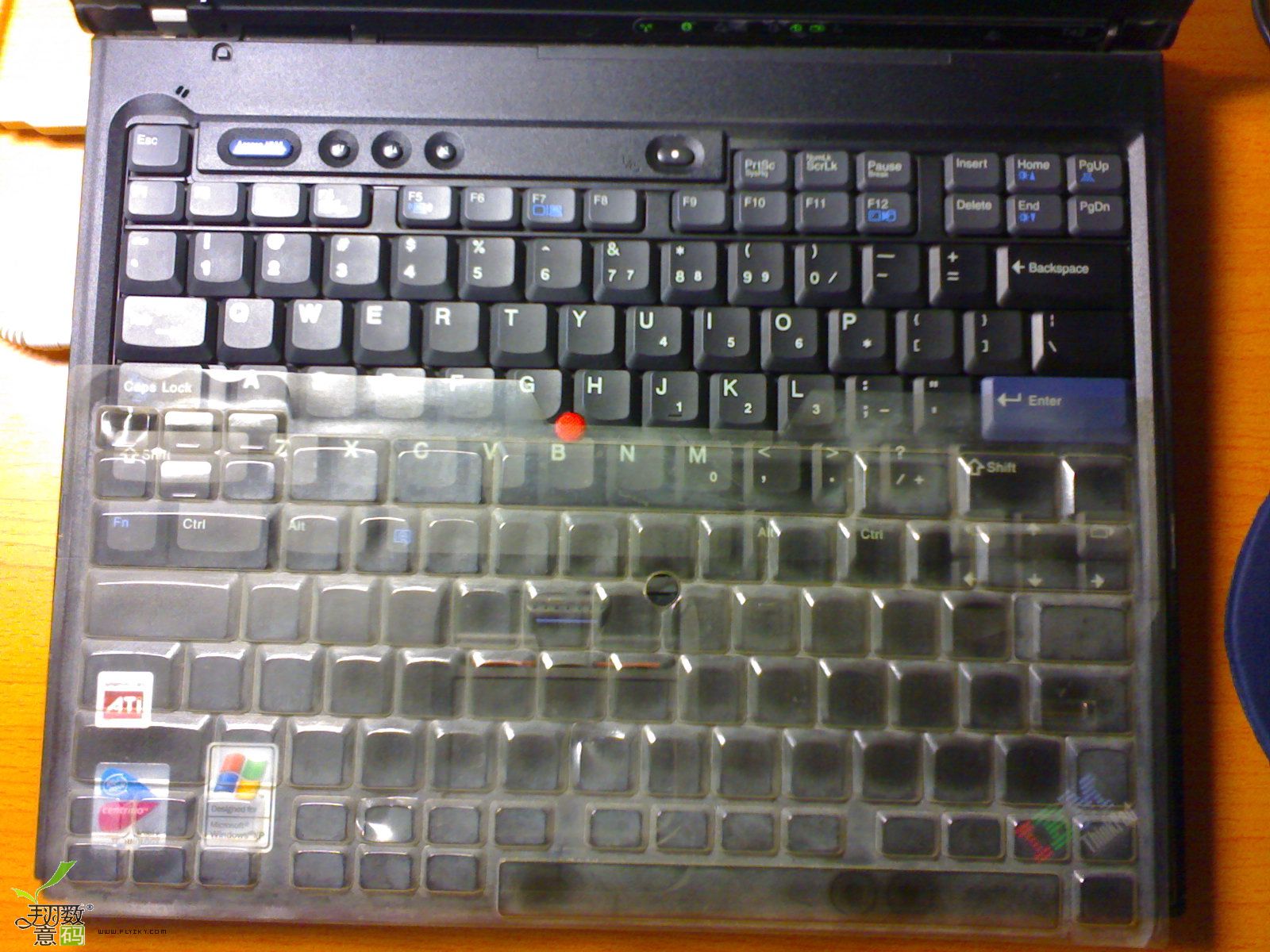 20070629142.jpg