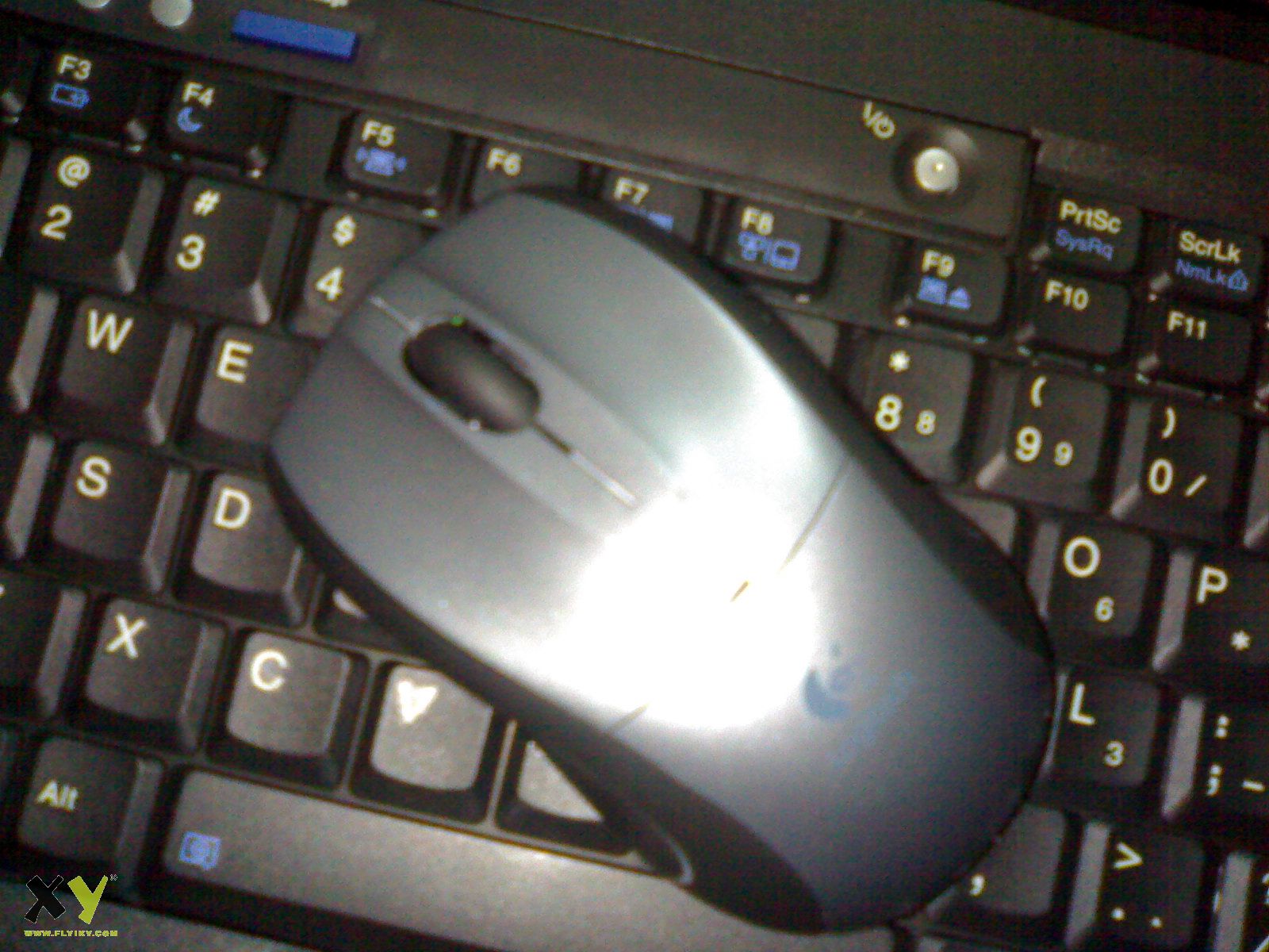 20071223072.jpg