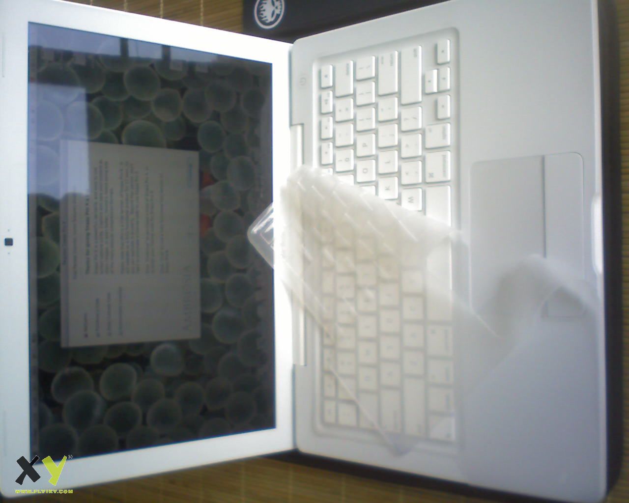 Ima0469.jpg