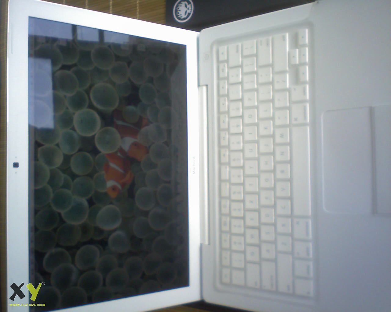 Ima0470.jpg